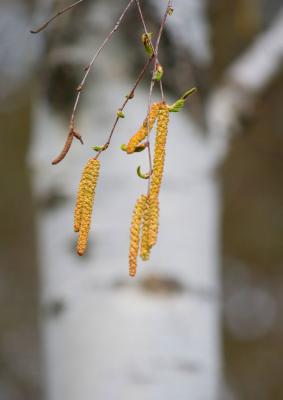 Прикрепленное изображение: IMG_6865.jpg